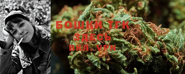 шишки Нея